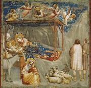 Birth of Jesus Giotto